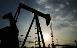 Các cường quốc dầu mỏ họp bàn "đóng băng" sản lượng để nâng giá