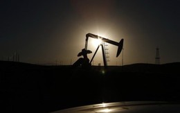 Giá dầu tiếp đáy 1 tháng bất chấp OPEC thông qua kế hoạch dài hạn