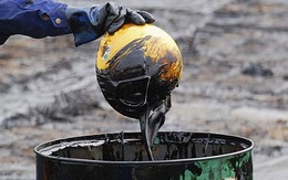 Giá dầu dò đáy hơn 1 tháng sau số liệu trữ lượng dầu thô tăng kỷ lục