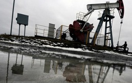 Giá dầu “tranh thủ” leo đốc khi đồng USD suy yếu