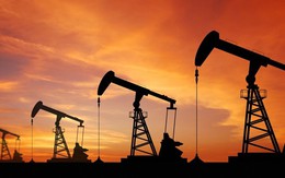 OPEC dự báo tình trạng dư thừa nguồn cung dầu mỏ sẽ giảm