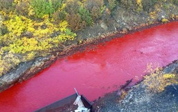 Nước sông chuyển màu đỏ như máu vì nghi án xả thải thượng nguồn