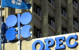 OPEC họp vào tháng 9 nhằm tìm cách bình ổn thị trường dầu mỏ