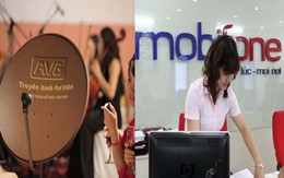 Thanh tra Chính phủ sẽ khẩn trương làm rõ thương vụ giữa Mobifone và AVG