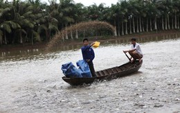 Báo động trộn hóa chất trong thức ăn chăn nuôi