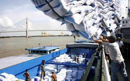 Trung Quốc phê chuẩn 8 đơn vị được phép khử trùng gạo xuất khẩu