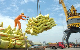 Thương hiệu nông sản Việt xuất khẩu: Bao giờ chính danh?