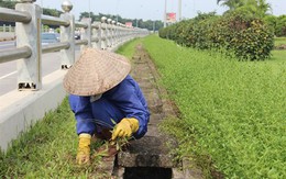 Cắt cỏ tốn 700 tỷ, chiếu sáng, thoát nước…tiêu hết bao nhiêu?