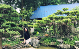 Khu vườn với hơn 30 chậu cây bonsai chục năm tuổi của bà chủ xinh đẹp ở Hà Nội