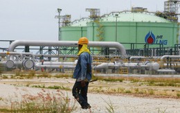 “Ông lớn” năng lượng Thái Lan hoãn dự án 20 tỷ USD tại Việt Nam