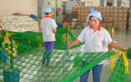 Di dời nhà máy, Dệt lưới Sài Gòn tính phương án khai thác mặt bằng hiện tại