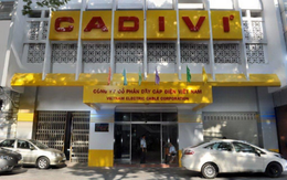 Cadivi chốt quyền nhận cổ tức bằng tiền tỷ lệ 30%