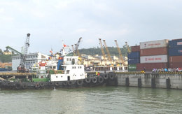 Cảng Đà Nẵng chuẩn bị gia nhập sân chơi UPCoM