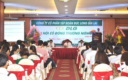 Đức Long Gia Lai (DLG): Thông qua kế hoạch chào bán gần 220 triệu cổ phần