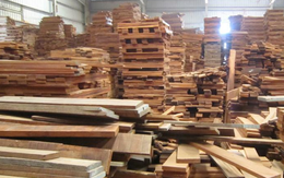 Gỗ Thuận An (GTA): 9 tháng hoàn thành 93% kế hoạch lợi nhuận, dự kiến tiêu thụ 113.400m3 gỗ trong quý 4