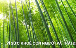 Cả Chủ tịch và Phó Chủ tịch Bamboo Capital cùng bán tổng 3,35 triệu cổ phiếu BCG