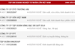 Thaco vượt qua Vinamilk, trở thành doanh nghiệp tư nhân lớn nhất Việt Nam