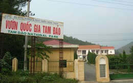 Làm đường lớn chạy qua vườn quốc gia Tam Đảo