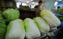 Thực phẩm tươi sống tại TP Hồ Chí Minh vẫn "neo" giá Tết