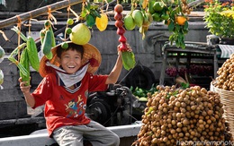 6 tháng đầu năm, rau quả Việt Nam xuất khẩu được hơn 1 tỷ USD