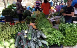 Ảnh hưởng mưa lũ, rau xanh ở Nghệ An tăng giá