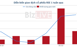 [Cổ phiếu nổi bật tuần] REE - cổ phiếu “lão làng” trở mình