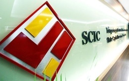 Công ty có người đại diện vốn SCIC tham gia quản lý điều hành cũng sử dụng hóa đơn không hợp pháp
