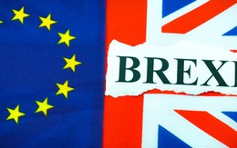 Cuộc tranh cãi nảy lửa tại đấu trường Brexit