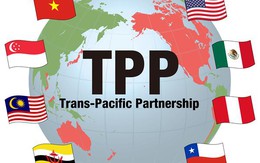 TPP đang gặp khó khi 2 ứng viên Tổng thống Mỹ không ủng hộ