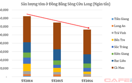 Sản lượng tôm ở Đồng Bằng Sông Cửu Long giảm 12% vì hạn hán