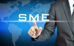 TPP cam kết gì về SME?