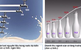Thừa sữa nguyên liệu – nghịch lý và… vô lý