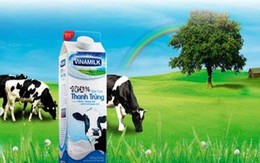 Vinamilk sắp chi 4.800 tỷ đồng tạm ứng cổ tức đợt 1/2016 tỷ lệ 40%