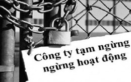 Bình quân có 31 doanh nghiệp “chết” mỗi ngày