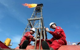 Hàng vạn nhân viên ngành dầu khí Việt Nam sẽ rất lo lắng khi thấy những số liệu này