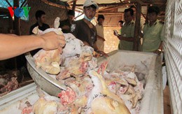 Thu giữ hơn 600 kg xương và thịt bê, dê, thỏ không rõ nguồn gốc