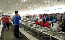 Phát hiện thức ăn có dòi, hàng trăm công nhân nghỉ việc tập thể