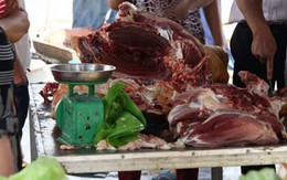 Thịt bò giả tràn lan Hà Nội: Các cơ quan đùn đẩy trách nhiệm