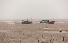 Bão số 1 đổ bộ vào Nam Định, gió giật cấp 7-8