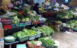 Hà Nội: Rét đậm kéo dài khiến rau xanh tăng giá đột biến