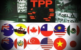 Gia nhập TPP, Việt Nam giống đứa trẻ nhà nghèo học trường quốc tế