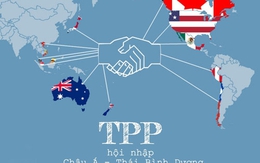 Các doanh nghiệp Mỹ muốn giải quyết vướng mắc trong TPP nhưng dự kiến vẫn ký kết vào 4/2/2016