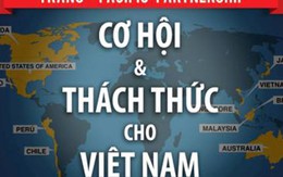 Hiệp định TPP: Cơ hội vẫn trên giấy, thách thức đã hiện hữu