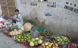 10 tháng Việt Nam nhập khẩu 120 nghìn tấn trái cây từ Trung Quốc