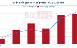 [Cổ phiếu nổi bật tuần] TRC hưởng lợi khi giá cao su phục hồi