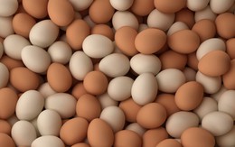 Miễn kiểm dịch trứng gia cầm liệu có an toàn?