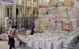 Thị trường ngách đang là điểm đến của hạt gạo Việt Nam