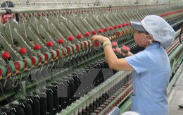 Doanh nghiệp EU phản hồi tích cực về môi trường kinh doanh Việt Nam