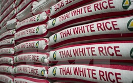 Thái Lan tiếp tục đấu giá 1,1 triệu tấn gạo dự trữ với giá cao