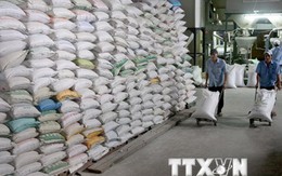 Theo dõi sát tình hình để điều hành hiệu quả việc xuất khẩu gạo